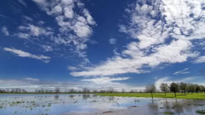 Texas Wetlands