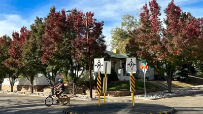 Cyclist with dog passing through a small neighborhood traffic circle in Denver, Colorado.