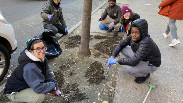 Five people squat by a tree in NYC, helping to care for it.