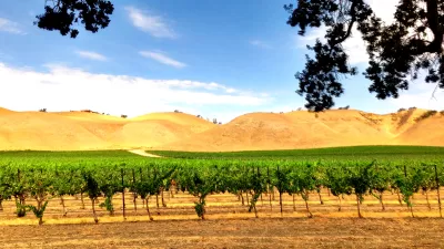 An image of a winery in Paso Robles