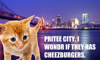 Kitty in Cinnci
