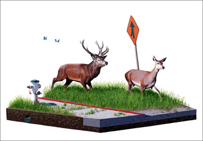Josh Keyes - Fever (2009) Josh Keyes - Fever (2009)