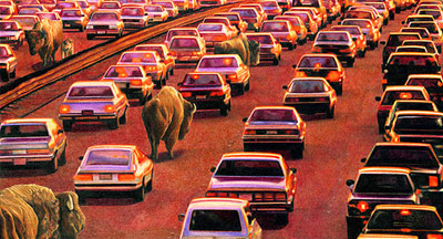 Don Simon - The Herd 2 Don Simon - The Herd 2
